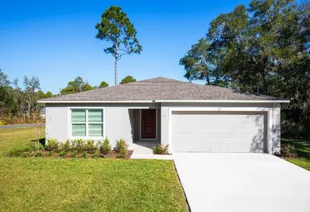 New construction Single-Family house 16287 Melon Rd, Weeki Wachee, FL 34614 - image