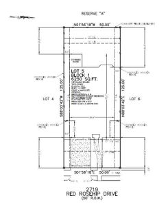 Newmark Homes' new construction features the beautiful Linz one of Newmark’s most popular homes. This Linz has everything! No back neighbor, developer concrete back wall, all brick/stucco (no siding.)