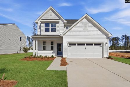 New construction Single-Family house 3041 Hanging Valley Rd, Blythewood, SC 29016 - image