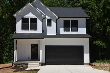 New construction Single-Family house 1134 Lyndsey Brooke Ct, Lincolnton, NC 28092 - image