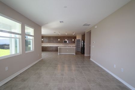 New construction Single-Family house 38326 Tobiano Loop, Dade City, FL 33525 Casanova- photo 136 136