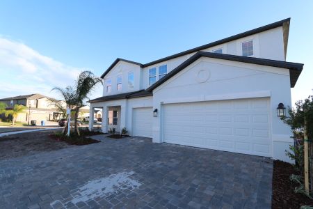 New construction Single-Family house 3063 King Fern Dr, Wimauma, FL 33598 Dali- photo 70 70