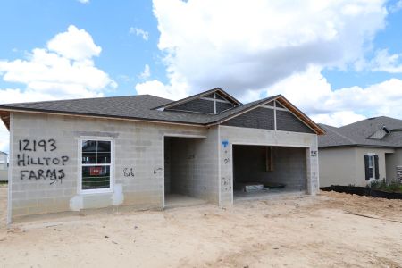 New construction Single-Family house 12193 Hilltop Farms Dr, Dade City, FL 33525 Sentinel- photo 2 2