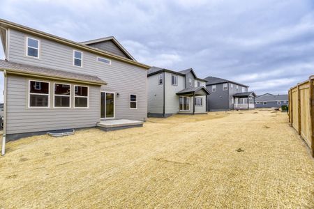 New construction Single-Family house 13791 Daffodil Wy, Parker, CO 80134 plan Braeburn - image 17