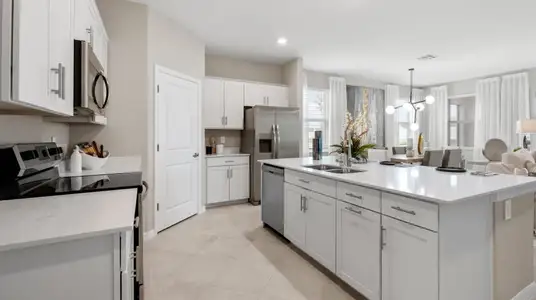 New construction Single-Family house 13377 Turnleaf Blvd, Punta Gorda, FL 33955 plan Monte Carlo II - image