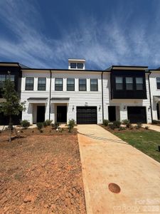 New construction Townhouse house 6340 Abelia Ave, Charlotte, NC 28269 plan Dahlia - image