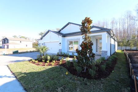 New construction Single-Family house 20339 Oriana Loop, Land O' Lakes, FL 34638 Newport II- photo 99 99