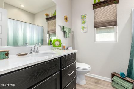 New construction Single-Family house 5781 N Coyote Hill Rd, Eloy, AZ 85131 - image 14