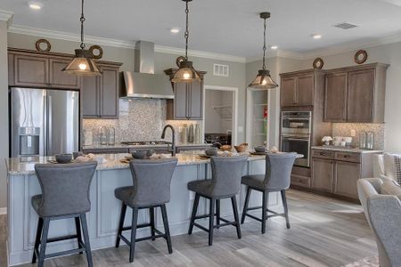 New construction Single-Family house 8447 Sw 99Th Street Rd, Ocala, FL 34481 plan Weybourne Landing - Ginger - image 9