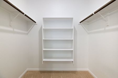 New construction Single-Family house 180 Condesa St, Kyle, TX 78640 Cypress- photo 13 13