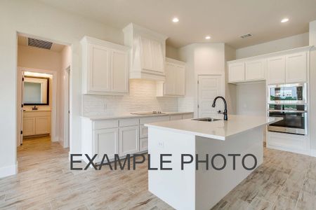 New construction Single-Family house 205 Marshall Dr, Springtown, TX 76088 plan The Iris - image 12