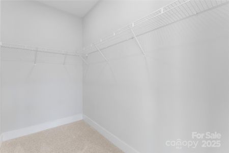 New construction Townhouse house 3437 Byrnes St, Charlotte, NC 28205 null- photo 29 29