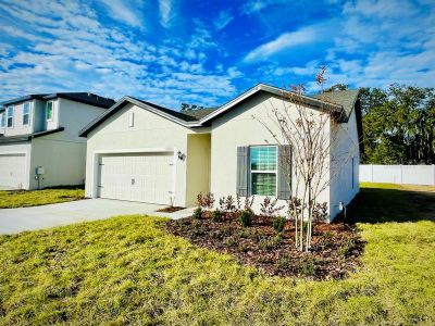 New construction Single-Family house 13481 Leaping Water Way, Astatula, FL 34705 null- photo 0