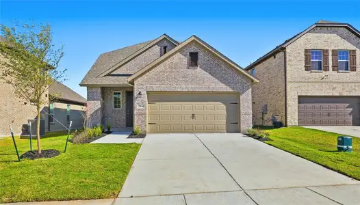 New construction Single-Family house 266 Little Bridge Dr, Lavon, TX 75166 plan The Tucker - image