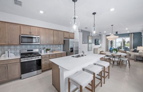 New construction Single-Family house 14752 Sunlit Cir, Parrish, FL 34219 plan Hallmark - image