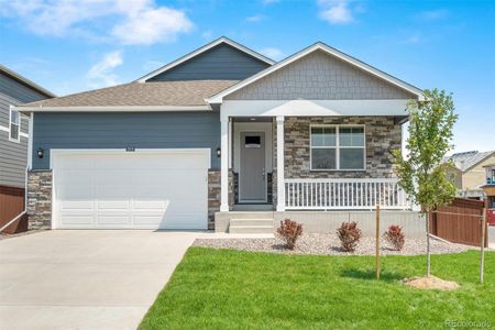 New construction Single-Family house 4530 Cattle Cross Trl, Castle Rock, CO 80104 Chatham- photo 1 1