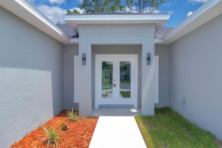 New construction Single-Family house 621 Dunlin Ln, Kissimmee, FL 34759 - image