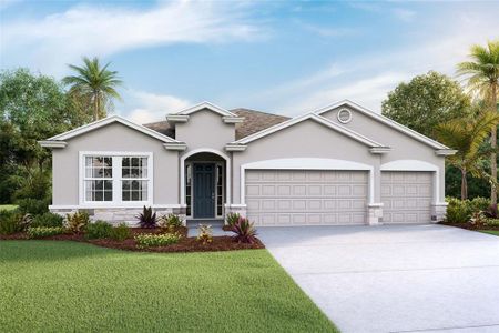 New construction Single-Family house 3149 Canopy Oak Boulevard, Wildwood, FL 34785 Destin- photo 0