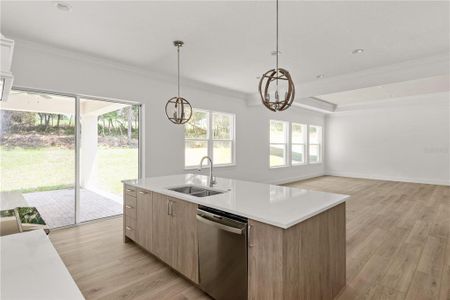 New construction Single-Family house 531 Sanctuary Golf Pl, Apopka, FL 32712 - image 6