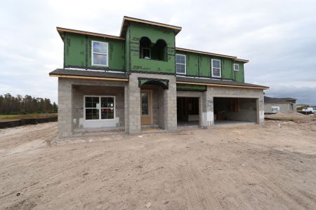 New construction Single-Family house 31222 Hayman Loop, Wesley Chapel, FL 33545 Windsor- photo 27 27