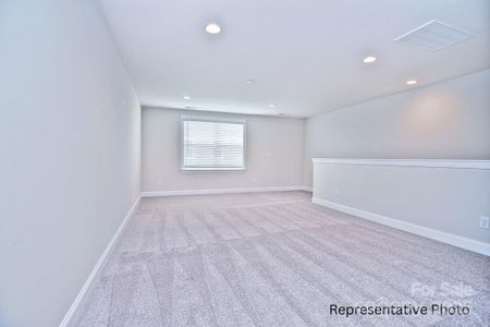 New construction Single-Family house 4178 Millstream Rd, Denver, NC 28037 - image 19