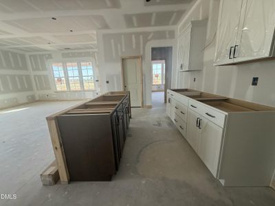 New construction Single-Family house 2032 Bull City Bnd, Unit 378, Durham, NC 27703 - image 17