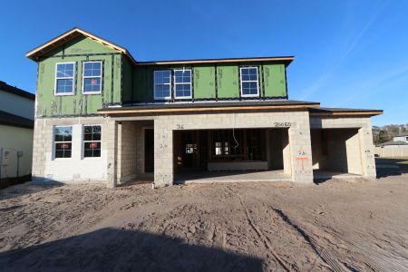 New construction Single-Family house 20050 Oriana Loop, Land O' Lakes, FL 34638 Santa Monica- photo 41 41