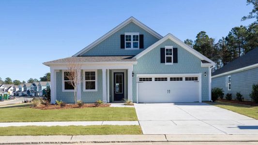 New construction Single-Family house 8643 Blue Haw Wy, Leland, NC 28451 plan Darby - image