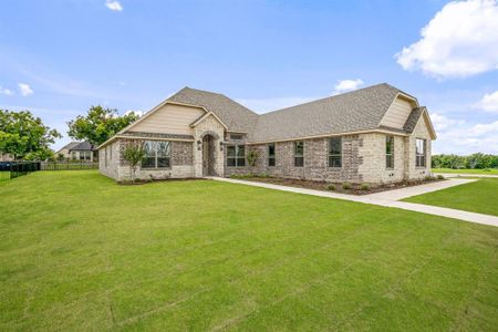 New construction Single-Family house 3701 Tremont Ln, Granbury, TX 76049 - image