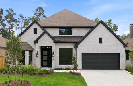 New construction Single-Family house 219 Prelude Park Trl, Willis, TX 77318 plan 3049 - image