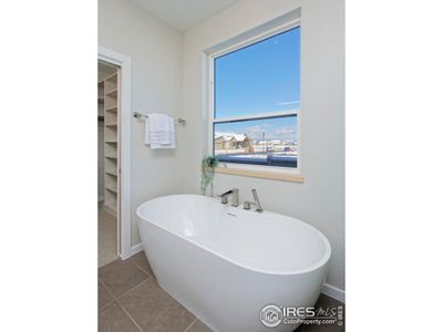 New construction Single-Family house 2286 Star Hill St, Longmont, CO 80503 plan 2000 Oasis - image 15