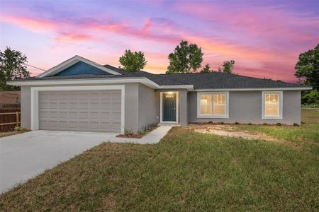 New construction Single-Family house 2 Hemlock Ter Dr, Ocala, FL 34472 null- photo 3 3