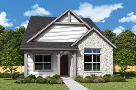 Jubilee - Grove Row Collection by David Weekley Homes in Hockley - image 13