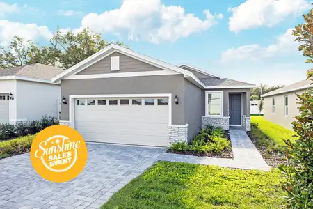 New construction Single-Family house 196 Duckweed St, Fruitland Park, FL 34731 Delight- photo 0