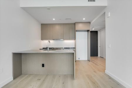 New construction Condo house 610 Davis St, Unit 1810, Austin, TX 78701 - image 4