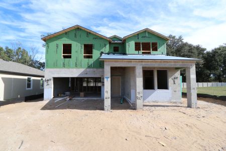 New construction Single-Family house 11984 Hilltop Farms Dr, Dade City, FL 33525 Casanova- photo 23 23