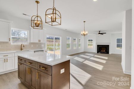 New construction Single-Family house 3050 Swallowtail Ln, Kannapolis, NC 28083 null- photo 5 5