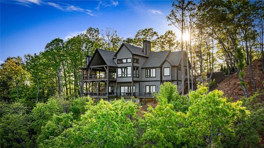 New construction Single-Family house 60 Jackies Bluff Rd, Mineral Bluff, GA 30559 - image