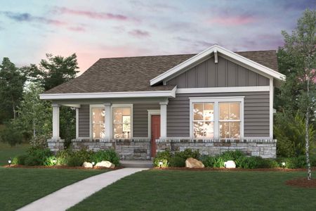 New construction Single-Family house 2410 Amara Levi Lane, Round Rock, TX 78665 Colorado- photo 0