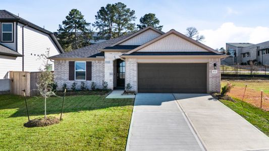 New construction Single-Family house 19737 Flag View Dr, Montgomery, TX 77316 plan Brook - image