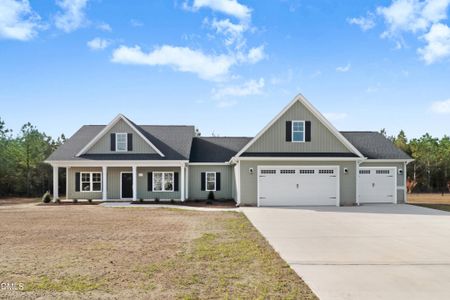 New construction Single-Family house 110 Rae Dr, Pikeville, NC 27863 - image