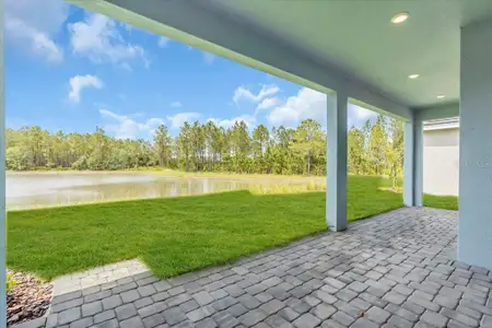 New construction Single-Family house 2515 Wise River Ln, Zephyrhills, FL 33539 - image 3