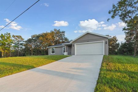 New construction Single-Family house 10710 Se 134 Ter, Dunnellon, FL 34431 null- photo 0