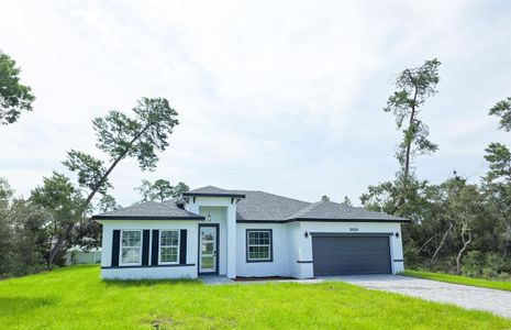 New construction Single-Family house 2454 Sw 167Th Lp, Ocala, FL 34473 - image