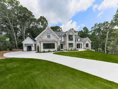 New construction Single-Family house 250 Hawks Lake Dr, Ball Ground, GA 30107 - image