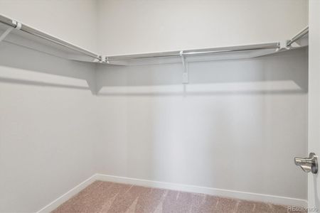 New construction Duplex house 14129 Deertrack Ln, Parker, CO 80134 Blue Spruce- photo 0