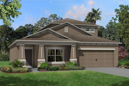 New construction Single-Family house 38121 Shale Stone Court, Zephyrhills, FL 33540 Picasso Bonus- photo 0