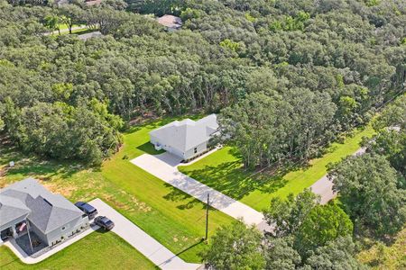 New construction Single-Family house 279 W Pearson St, Hernando, FL 34442 - image 20