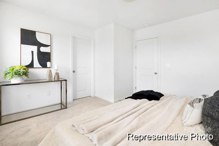 New construction Townhouse house 11404 Magpie Ct, Unit 11, Charlotte, NC 28215 - image