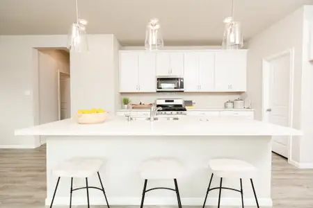 New construction Single-Family house 19560 Stripe Hill Bnd, Unit 1117, Montgomery, TX 77356 plan Austin - image 15
